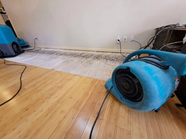 Professional Burst Pipe Water Damage technician working in Seneca, MO
